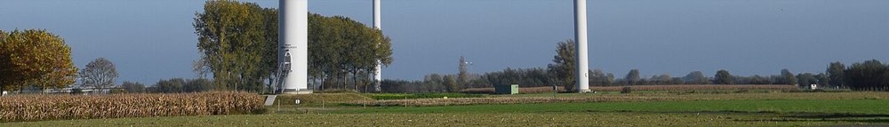 Wase Wind - panoramio pagebanner — Zele