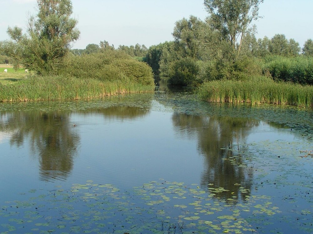 Saleghem krekengebied — Sint-Gillis-Waas