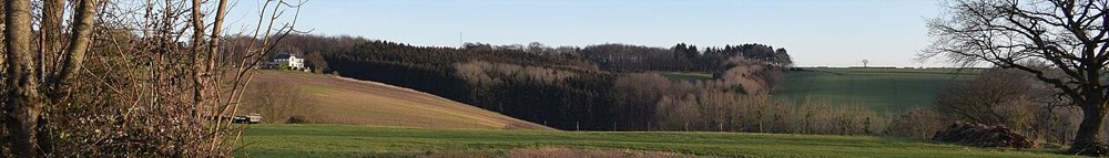Beyne-Heusay banner