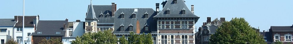 Visé banner