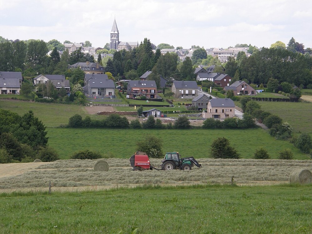Vue de Bertrix de la clairière P6140039