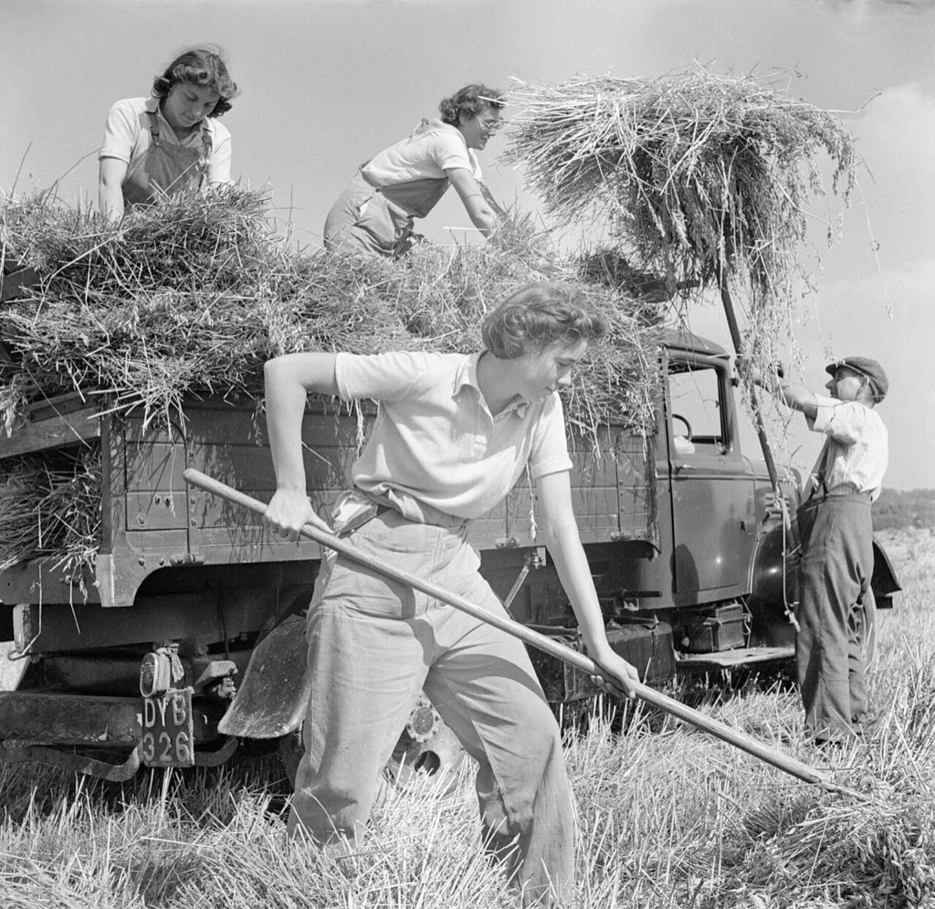 Harvesting at Mount Barton, Devon, England, 1942 D10334