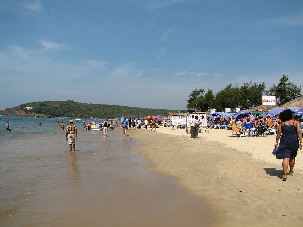 Baga