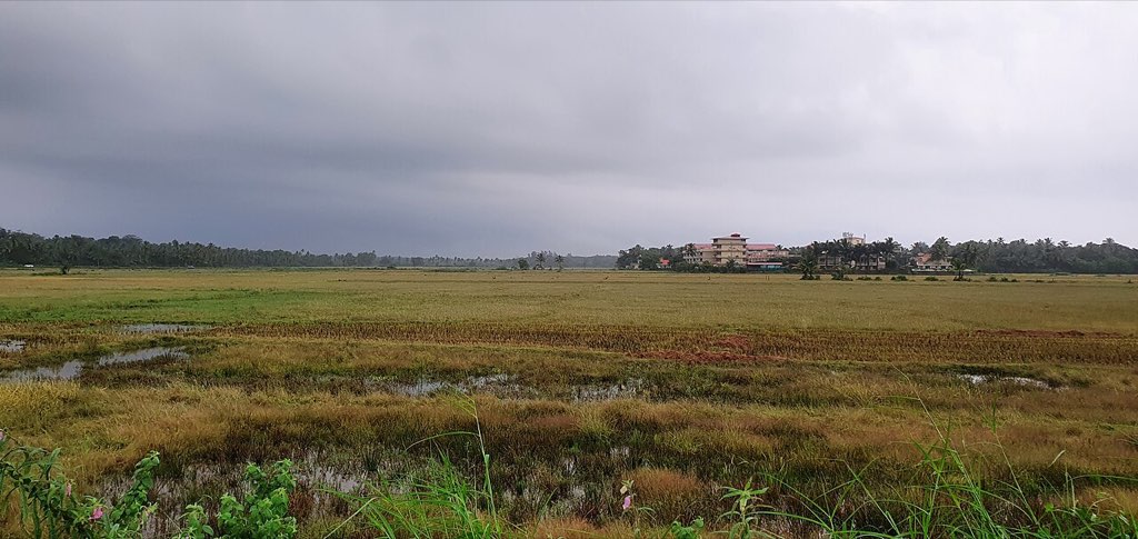 Benaulim
