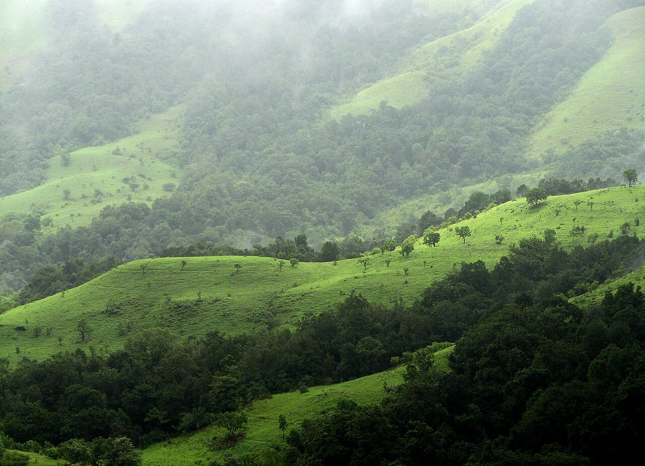 Kudremukh