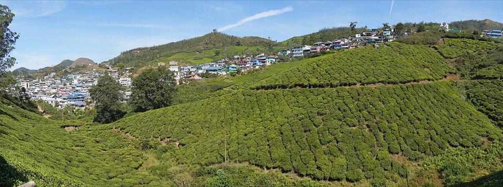 Munnar