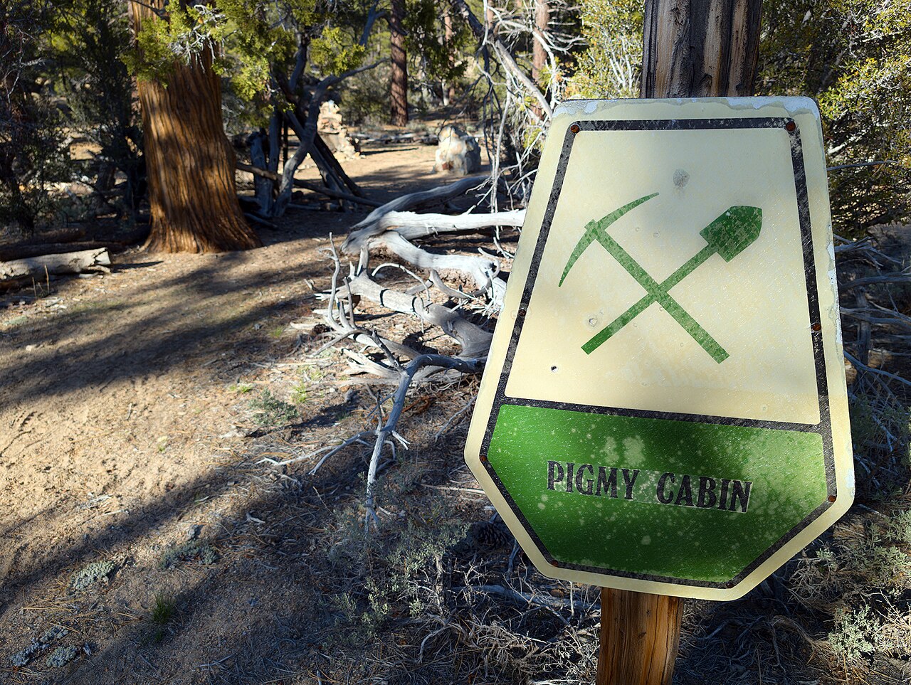 Gold Fever Trail, Big Bear, California - 53752151877