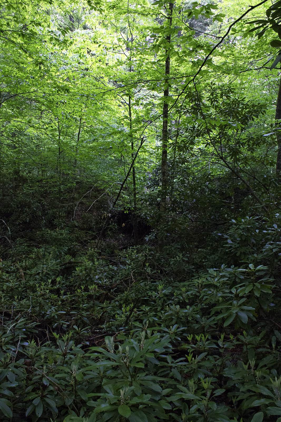 Delaware Water Gap 03