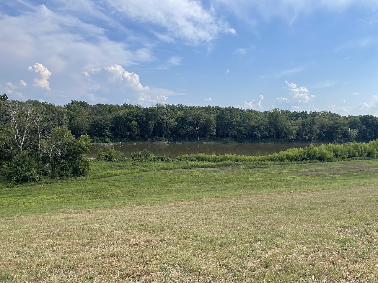 Landscape with water in Tensas Parish, Louisiana