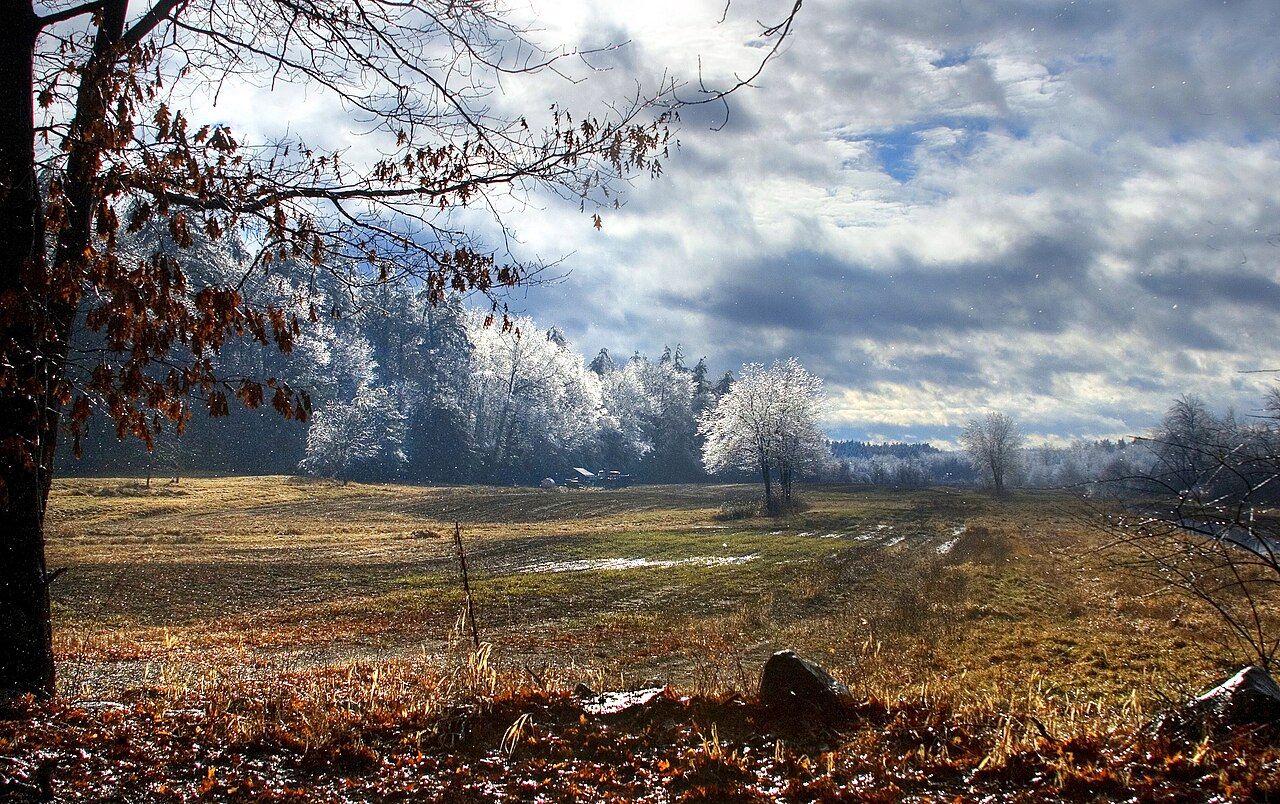 Landscape after an ice storm, Boxborough, Massachusetts, 2008