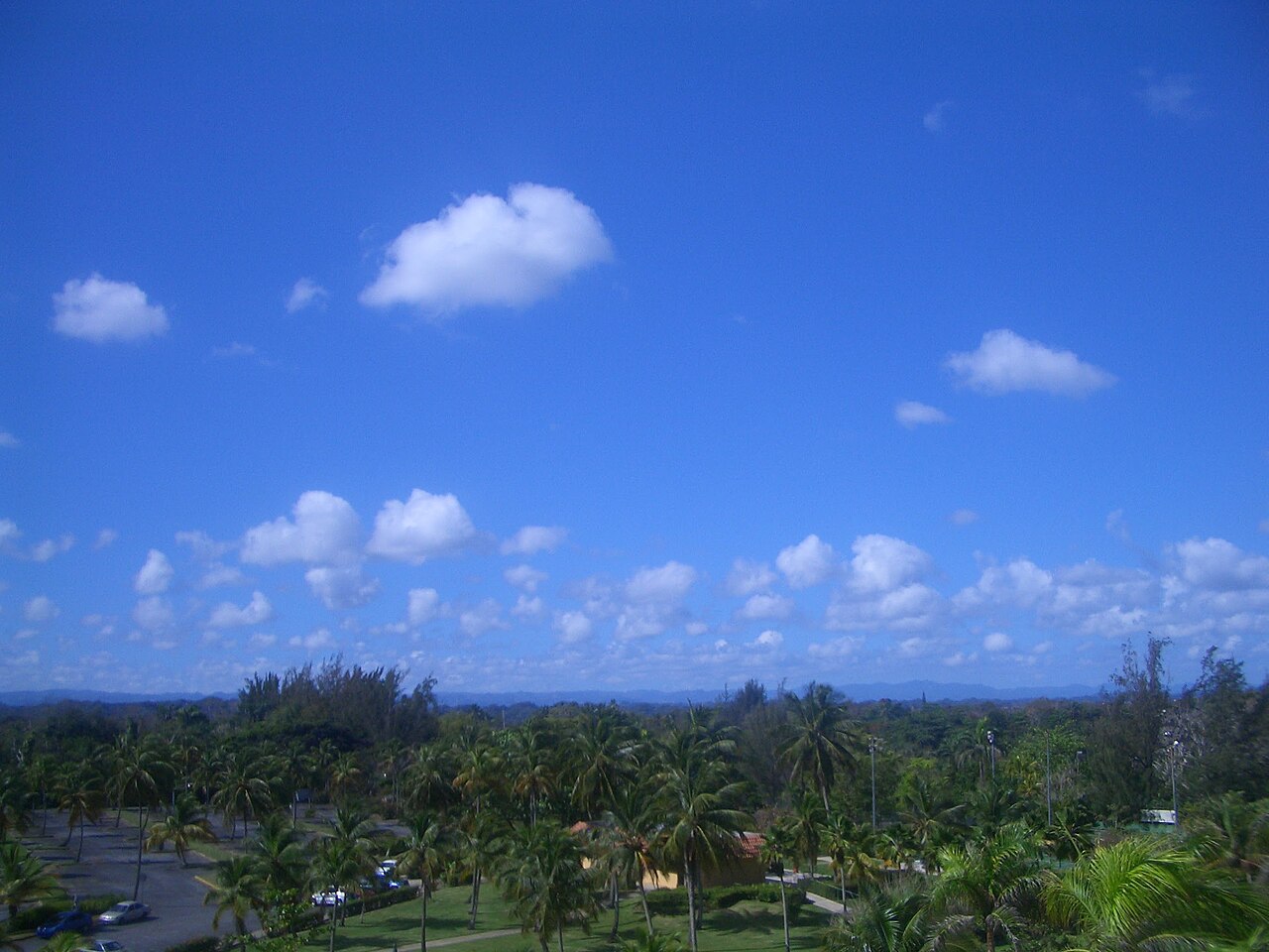 From Hyatt Hacienda del Mar Dorado Vega Alta Puerto Rico Landscapes